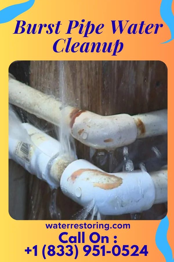 Burst Pipe Water Cleanup in Stannards, NY
