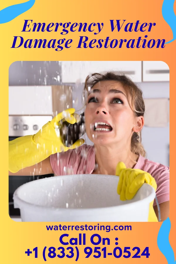 Emergency Water Damage Restoration in Stannards, NY
