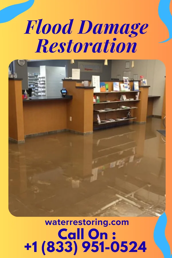 Flood Damage Restoration in Stannards, NY