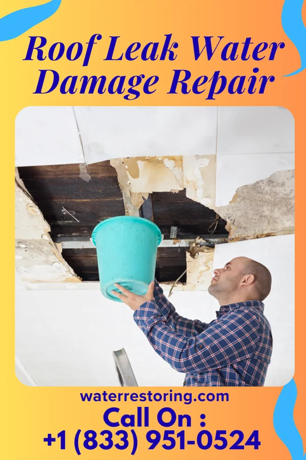 Roof Leak Water Damage Repair in Stannards, NY