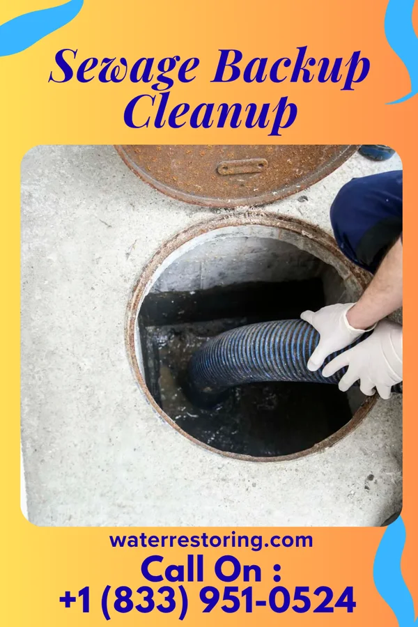 Sewage Backup Cleanup in Stannards, NY