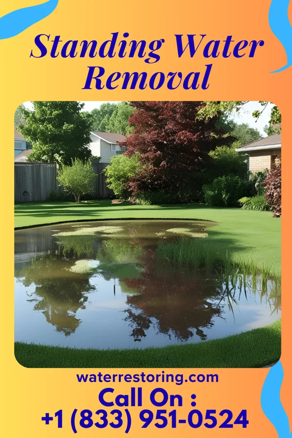 Standing Water Removal in Stannards, NY